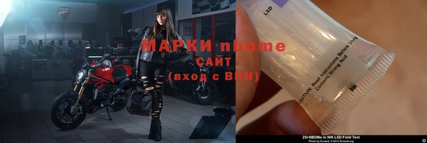 ПСИЛОЦИБИНОВЫЕ ГРИБЫ Вязники