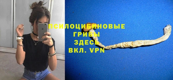 хмурый Горно-Алтайск