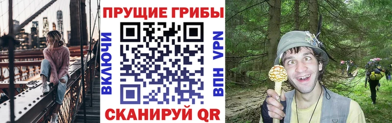 Галлюциногенные грибы прущие грибы  купить  цена  Юхнов 